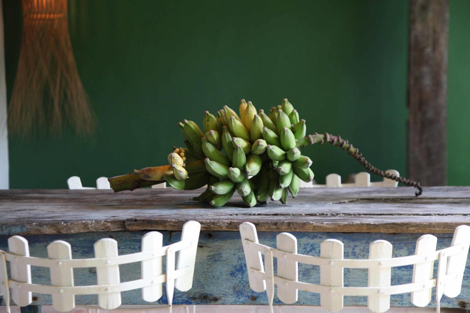 Uxua Casa Hotel & Spa Trancoso Kültér fotó