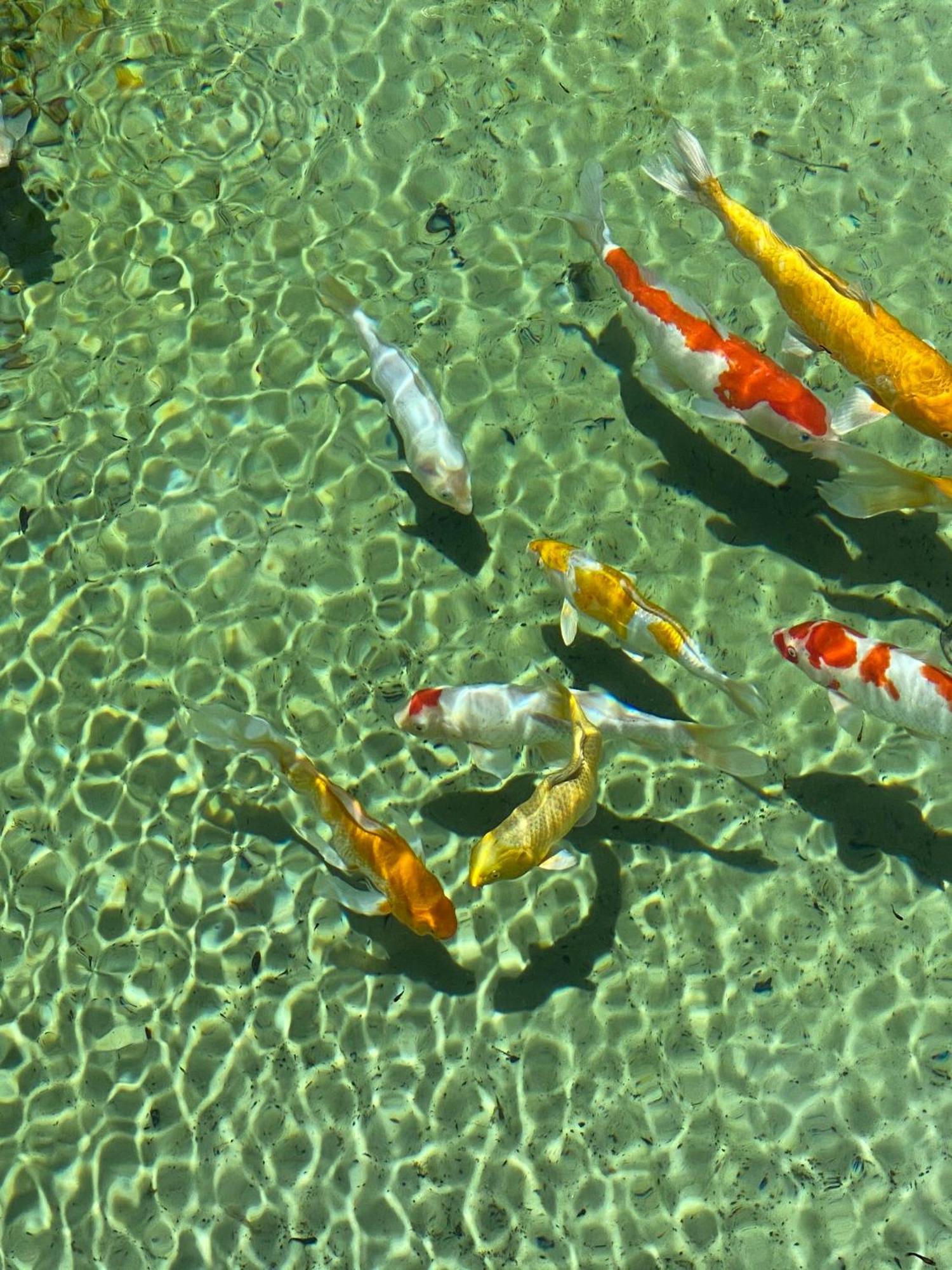 Uxua Casa Hotel & Spa Trancoso Kültér fotó